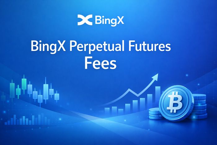 BingX Perpetual Futures 2026: Full Review, Fees & Strategy
